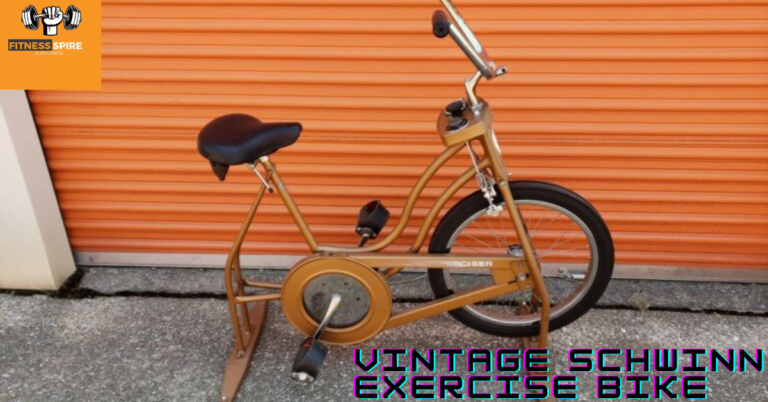 Vintage Schwinn Exercise Bike